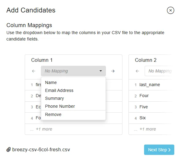 Breezy HR's Column Mappings screen with the dropdown open. The complete list of options is Name, Email Address, Summary, Phone Number, and Remove.