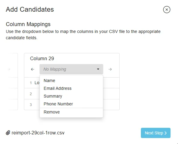 Breezy HR's Column Mappings screen, loaded with a CSV that Breezy itself exported. The dropdown for Column 29 is open and offers five options: Name, Email Address, Summary, Phone Number, Remove.