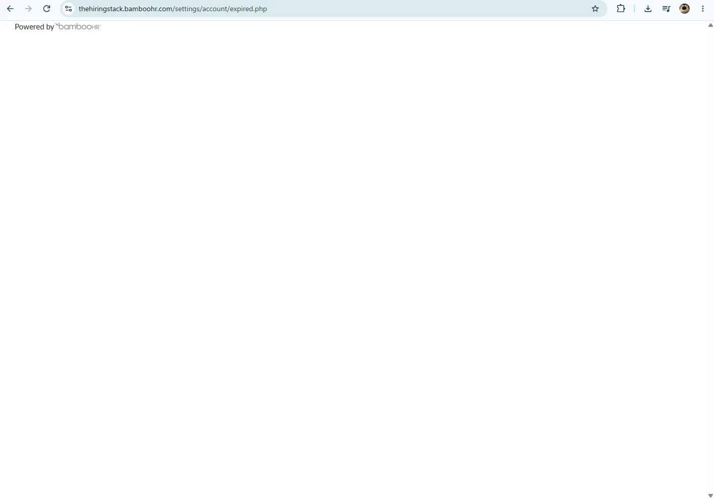A browser at thehiringstack.bamboohr.com/settings/account/expired.php. The page is entirely blank except for the words "Powered by bambooHR" in small grey text at the top left.